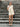 009098.PAN_5.jpg