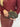 007647.MOR_2.jpg