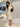 009010.PAN_3.jpg