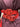 003229.ROSS_1.jpg