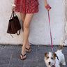 009470.ROSS_1.jpg