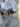 005157.NER_2.jpg