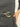 006837.NER_1.jpg